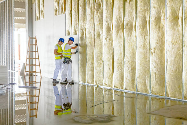 Best Cellulose Insulation in Liberal, KS